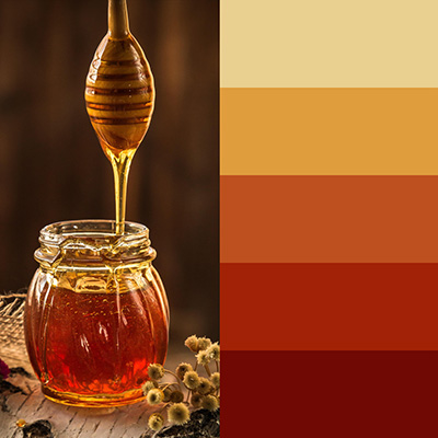 Honey coloring inspiration palette