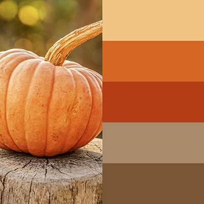 Pumpkin color palette