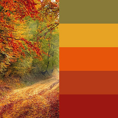 Fall path coloring inspiration
