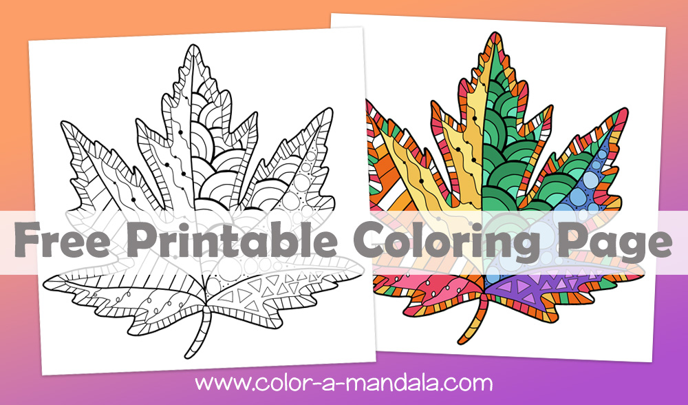 Maple leaf doodle pattern coloring page.  Printable coloring page. Free to download.
