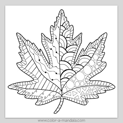 Maple leaf coloring page