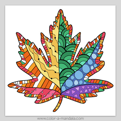 Maple leaf coloring page colored sample