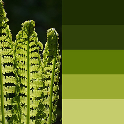 Green color palette