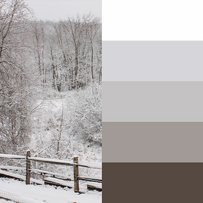 Snow inspired coloring combination