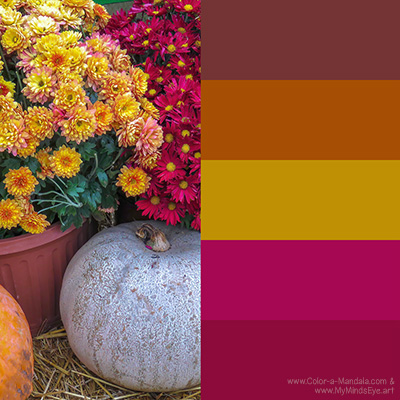 Fall flowers and pumpkins color palette