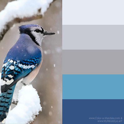 Color palette