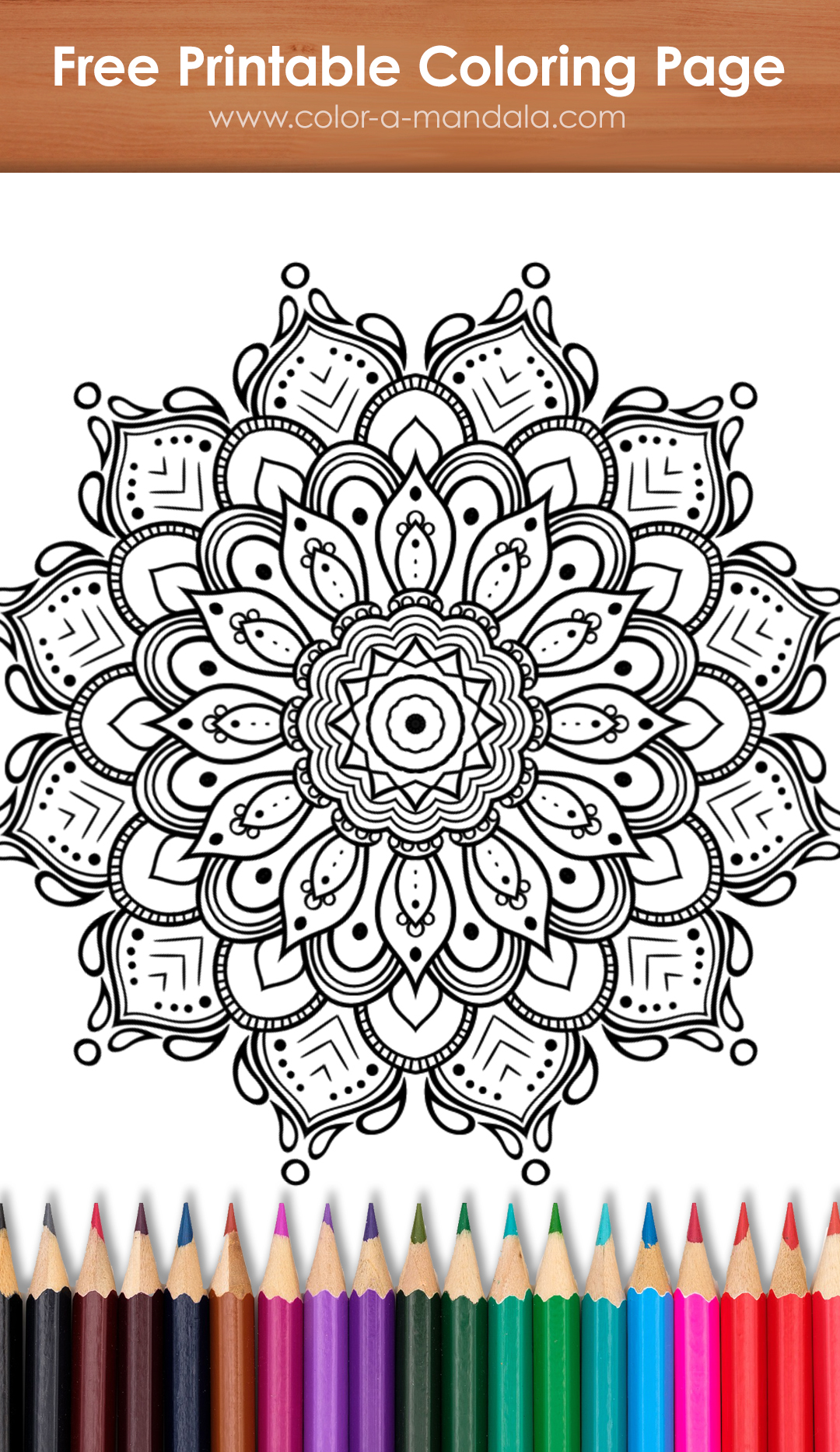 Image of an uncolored printable flower mandala coloring page.