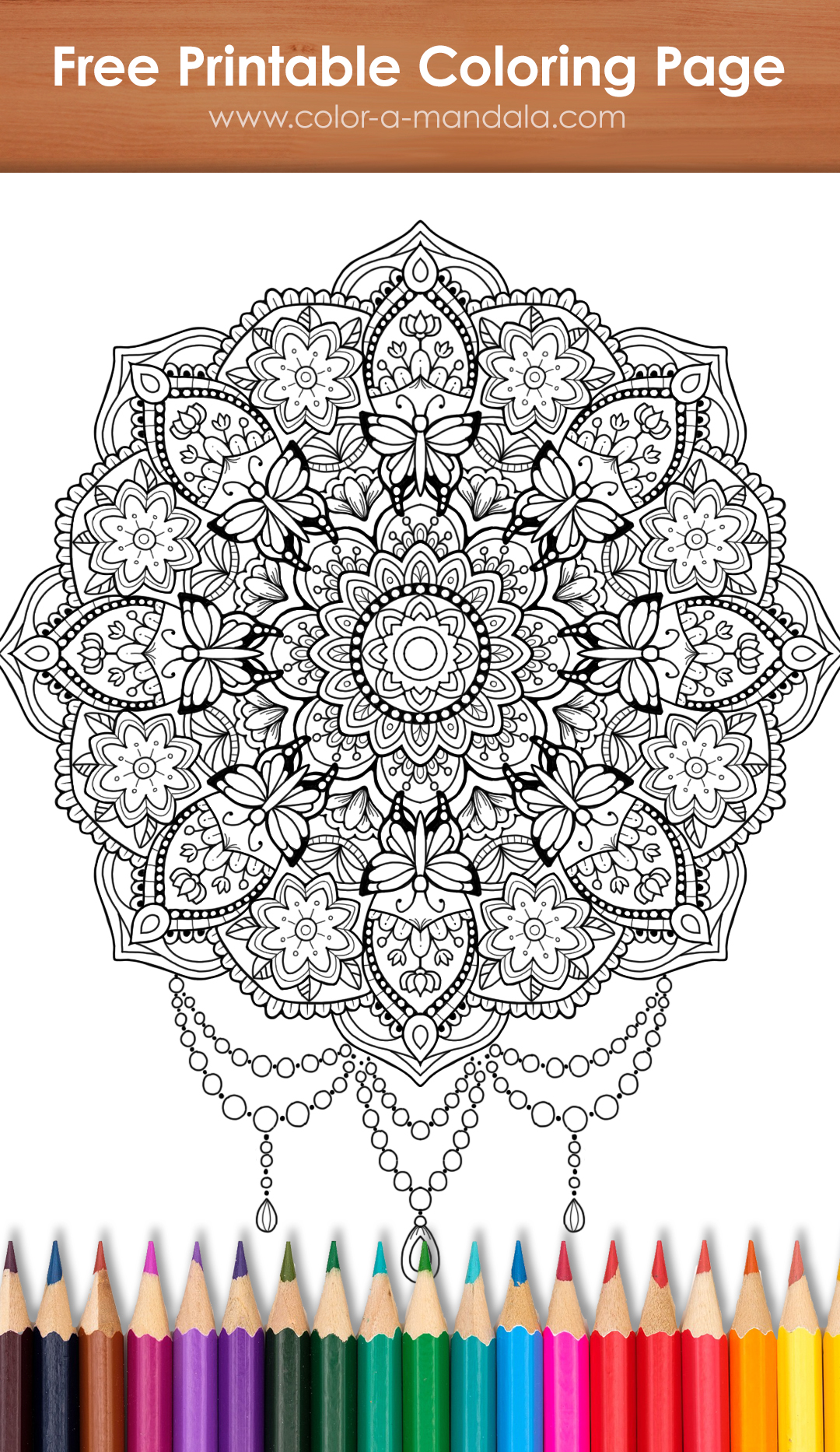 Image of an uncolored coloring page with a mandala with a circle of  butterflies and flowers.