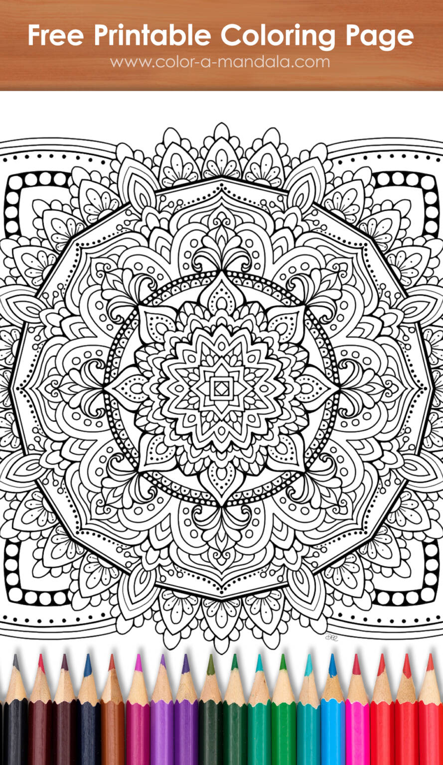 Challenge Yourself with an Intricate Mandala coloring page