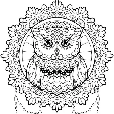 Mystical Owl Mandala